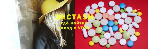 винт Ельня