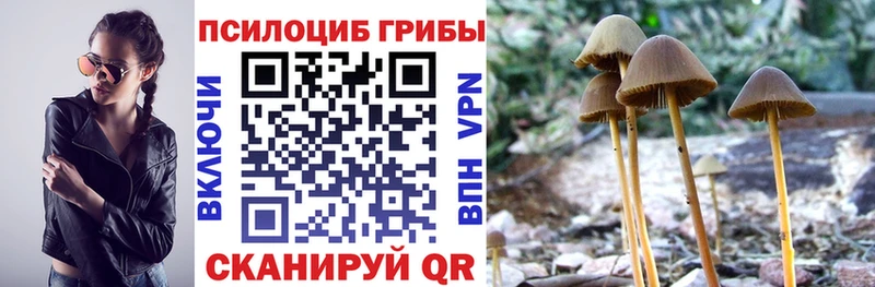 где купить   мориарти какой сайт  Галлюциногенные грибы Cubensis  Черепаново 
